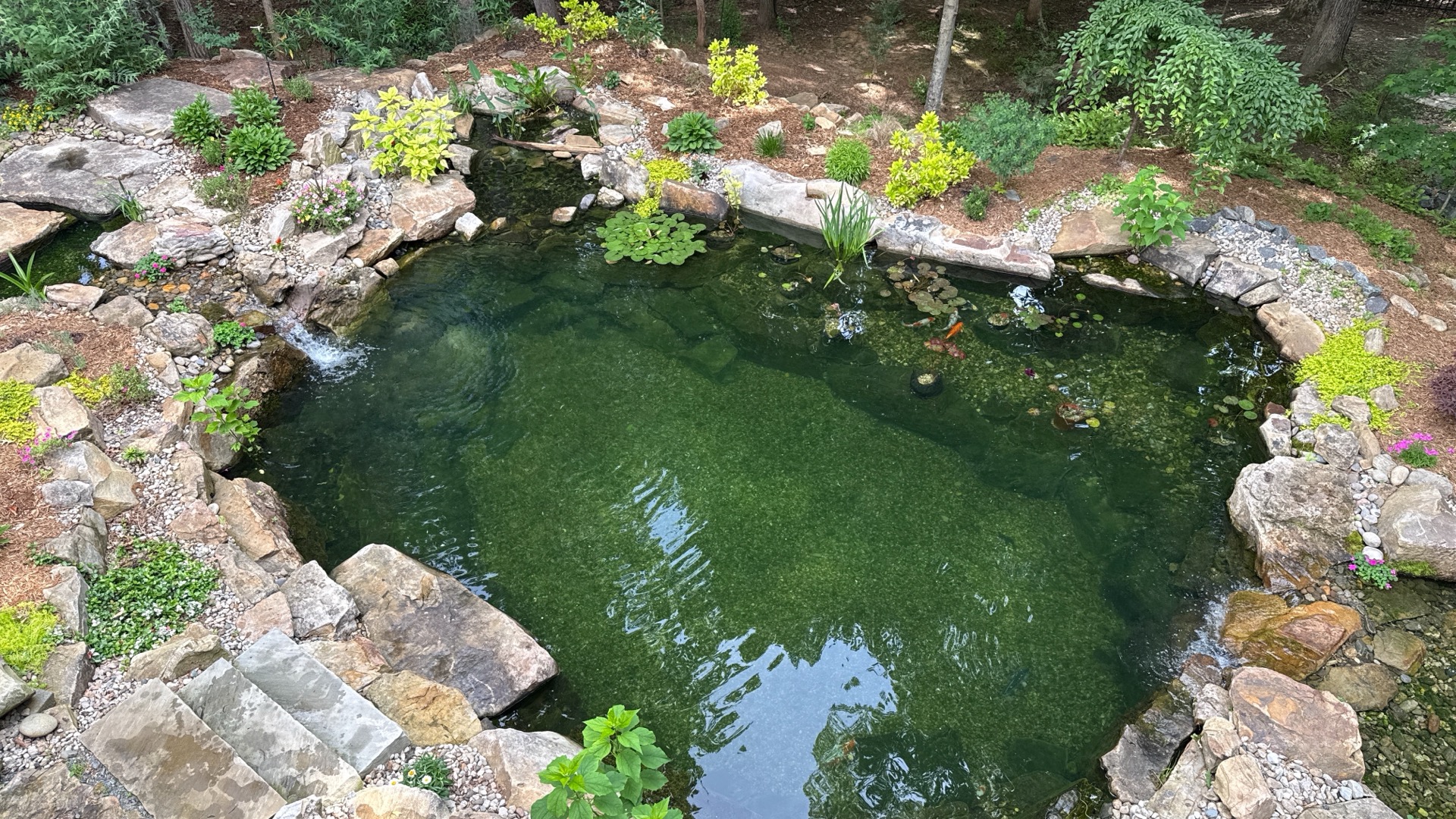Aerial view of completed swim pond build